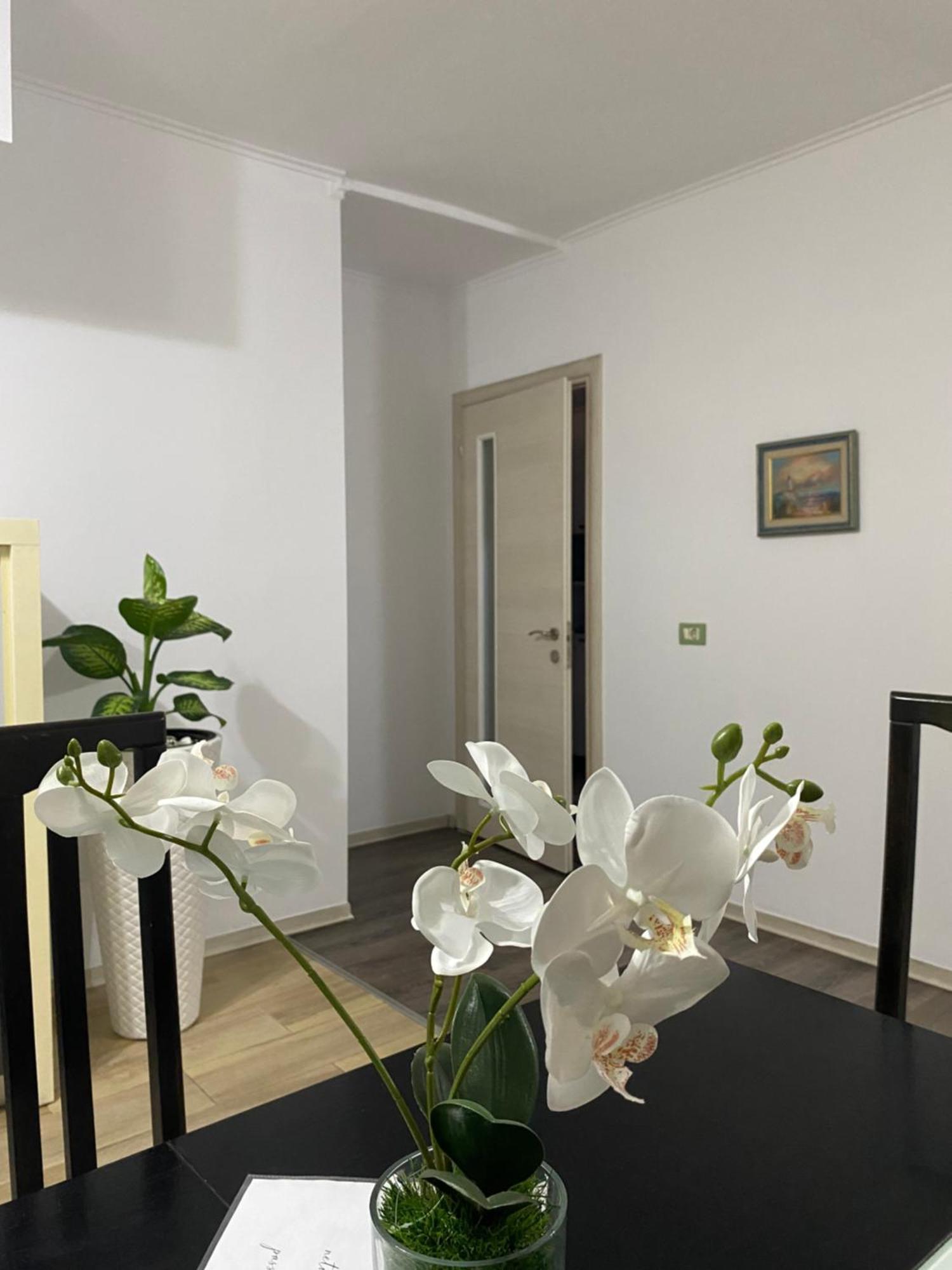 Main Apartment Tirana Exteriér fotografie